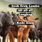 Erek Erek lembu 2D 3D 4D Lengkap Disertai Kode Alam