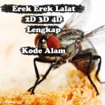 Erek Erek Lalat 2D 3D 4D Lengkap Disertai Kode Alam