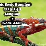 Erek Erek Bunglon 2D 3D 4D Lengkap Disertai Kode Alam