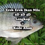 Erek Erek Ikan Nila 2D 3D 4D Lengkap Disertai Kode Alam